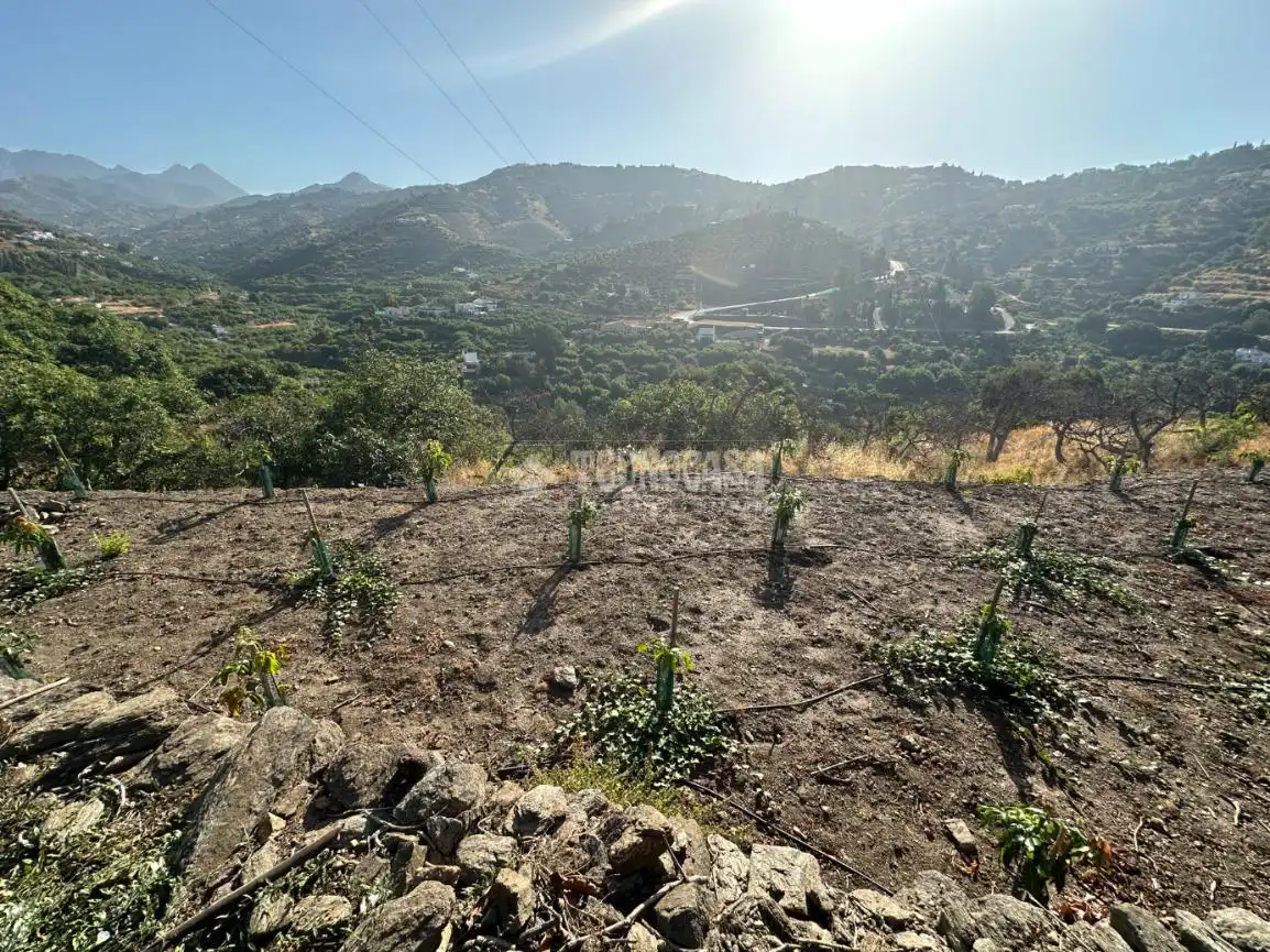 Terreni e lotti in vendita a Torrox Pueblo, imagen 9