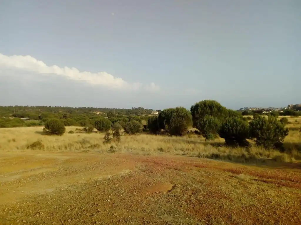 Land for sale in Lepe
