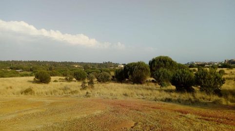 Solvia Inmobiliaria  Suelo Urbanizable Lepe, immagine 3