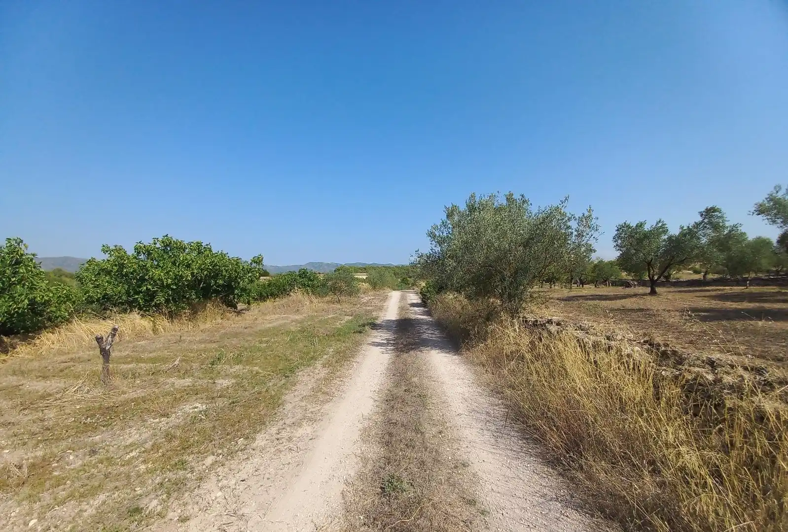 Finca rústica en venta en Rasquera