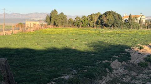 Foto 4 de Residencial en venda a La Marina, Elche / Elx