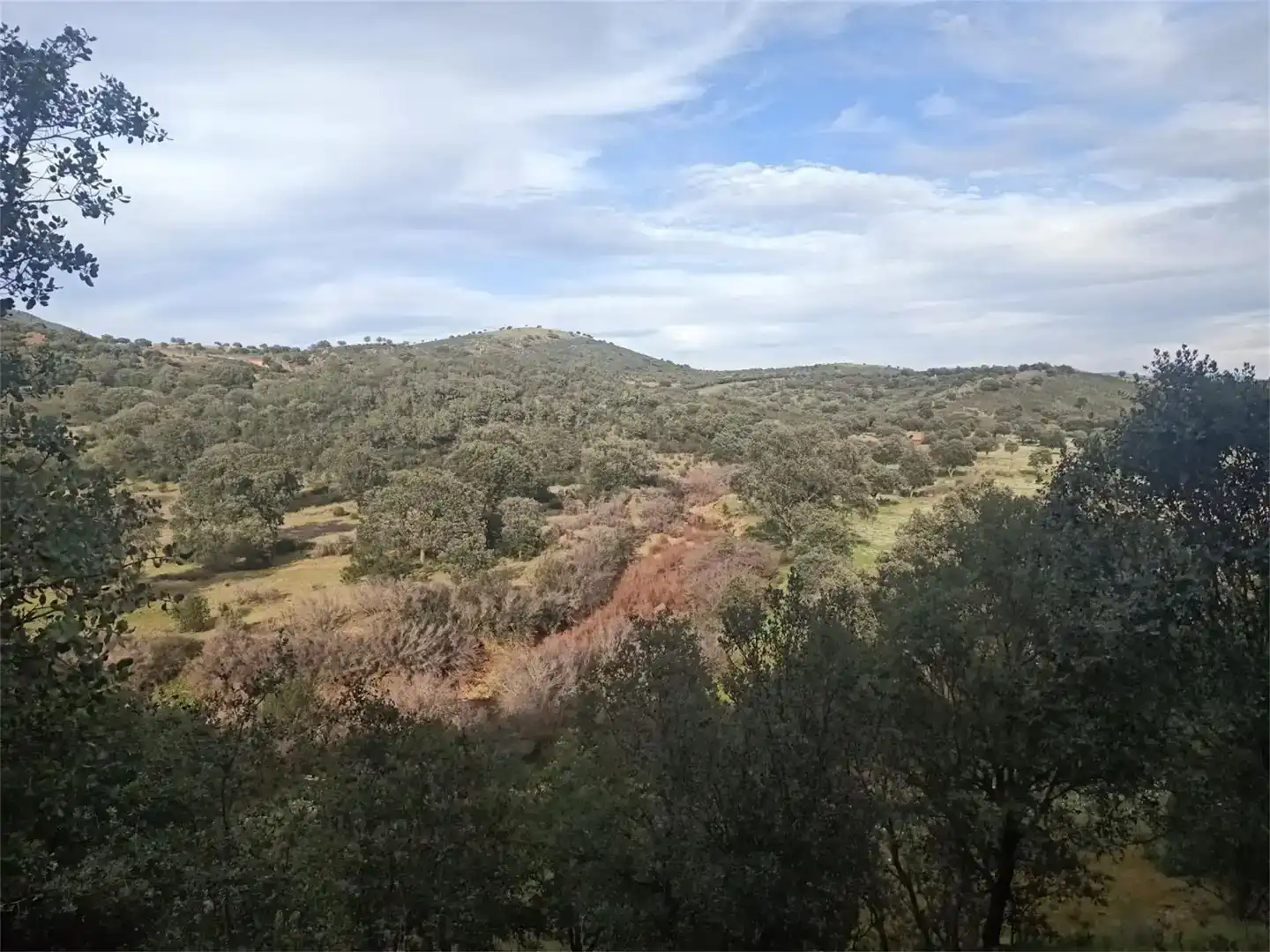 Terreno en venta en Fuenlabrada de los Montes, Badajoz