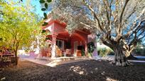 Jardí de Casa o xalet en venda en Chiclana de la Frontera amb Aire condicionat, Calefacció i Jardí privat