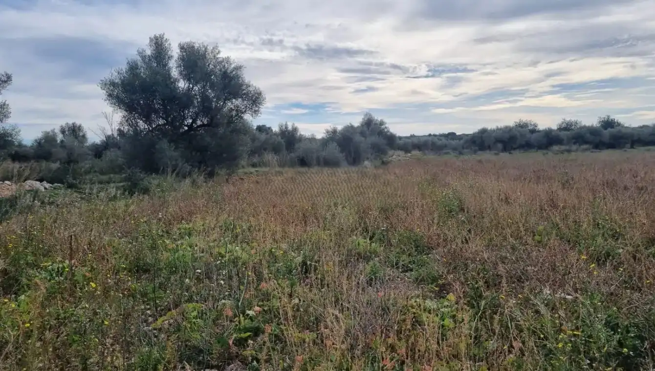 Terreno rustico in vendita a Traiguera, imagen 3