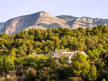 Terreno rustico in vendita a Cretas
