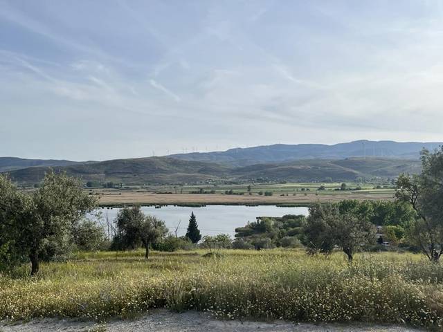 Terreno en Venta en Padul