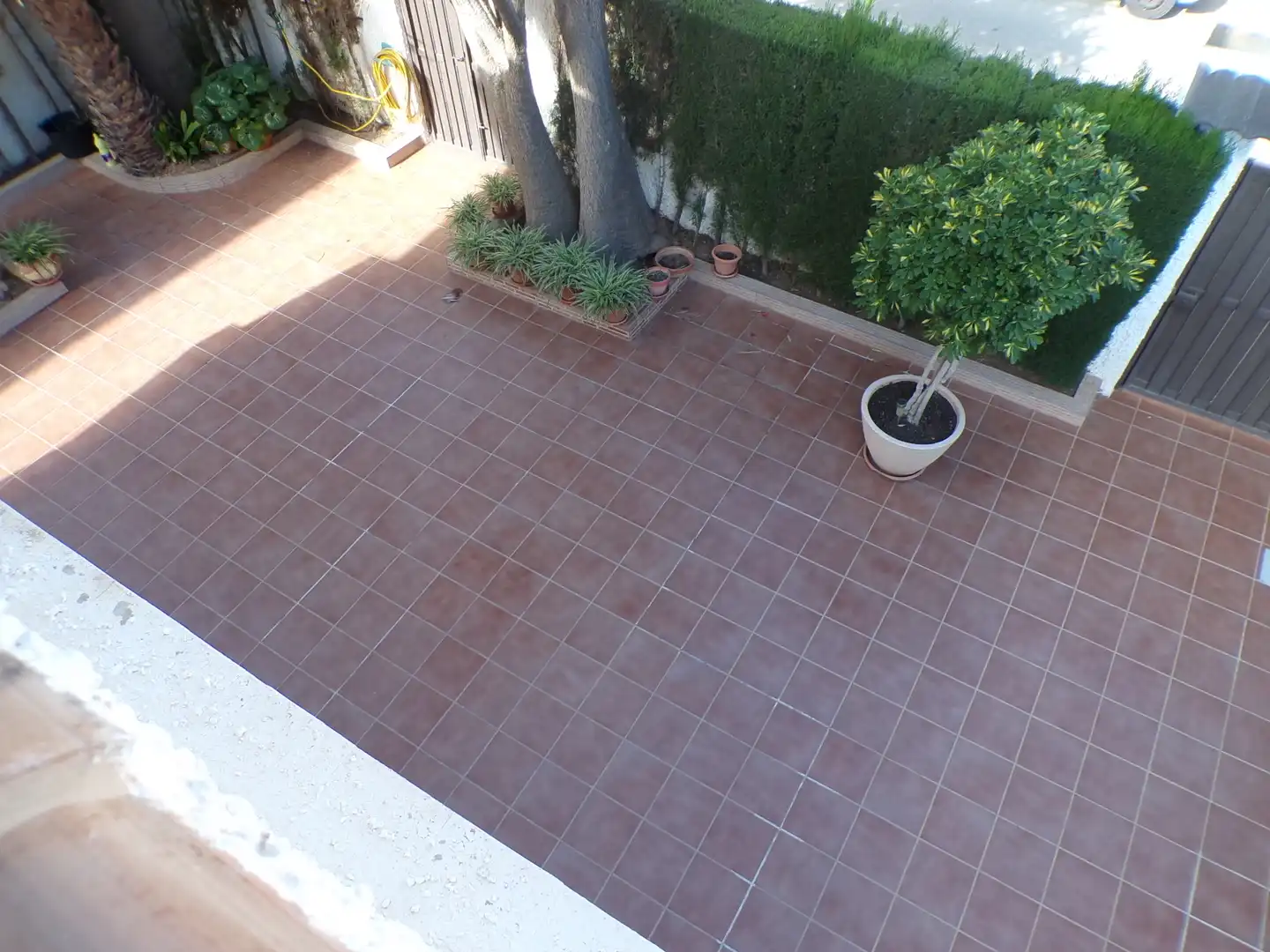 Casa o chalet en venta en Calle Antonio Aguado, 39, Torre de la Horadada