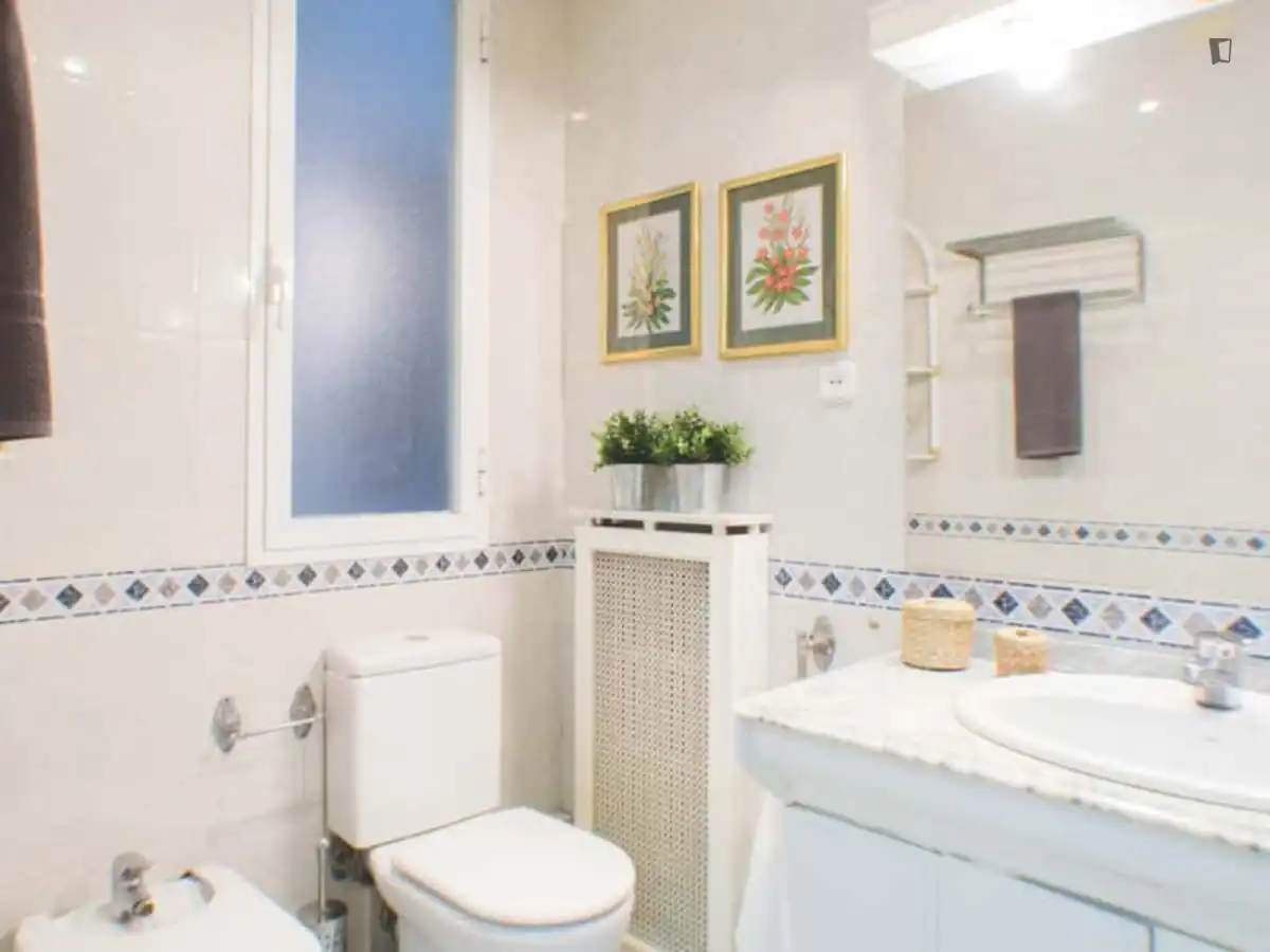 Bany de Apartament per a compartir en Madrid amb Moblat, Forn i Rentadora