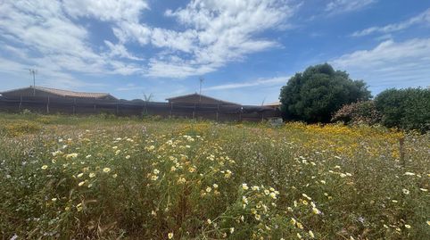 Photo 2 of Residential for sale in El Palmar, Vejer de la Frontera