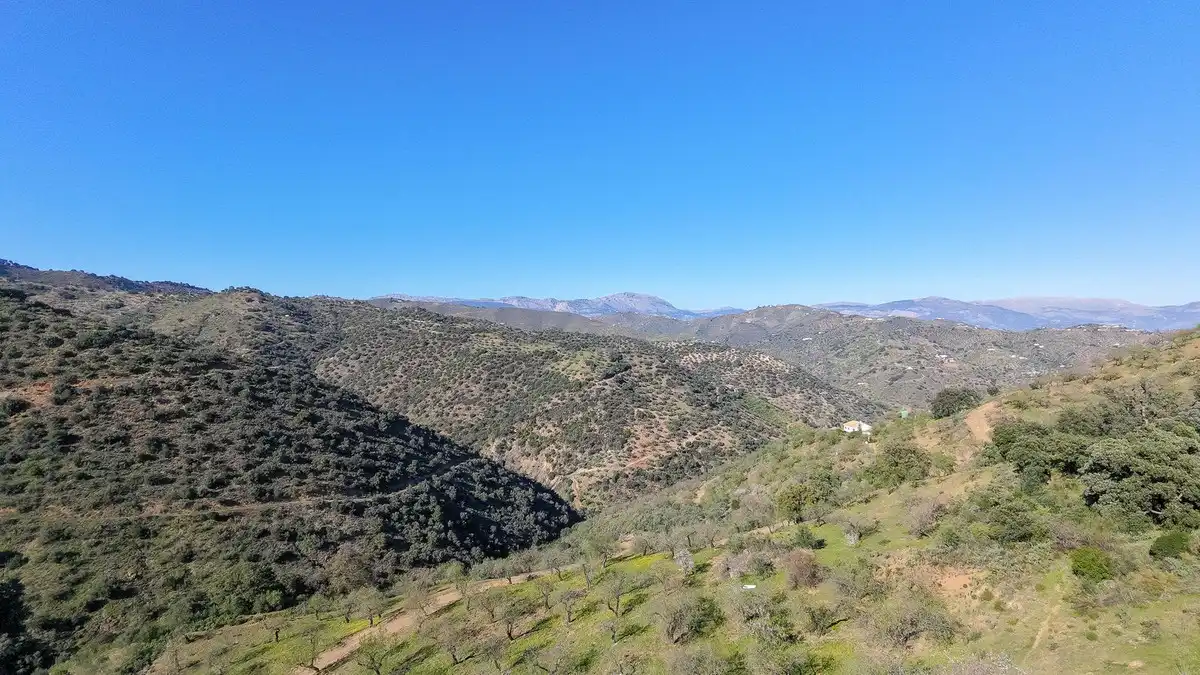 Terrenos y solares en venta en Este, imagen 5