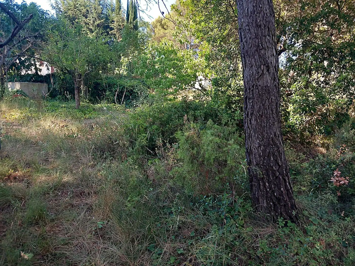 House with garden for sale in Torrelles de Foix, imagen 30