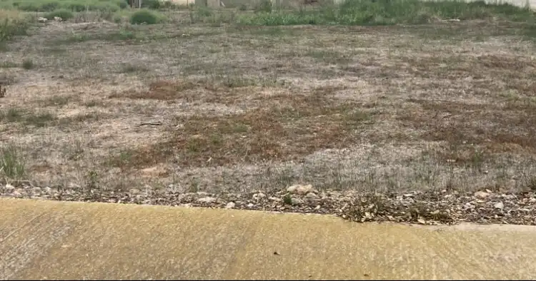 Terreny residencial en venda a Calle dels Cutxos