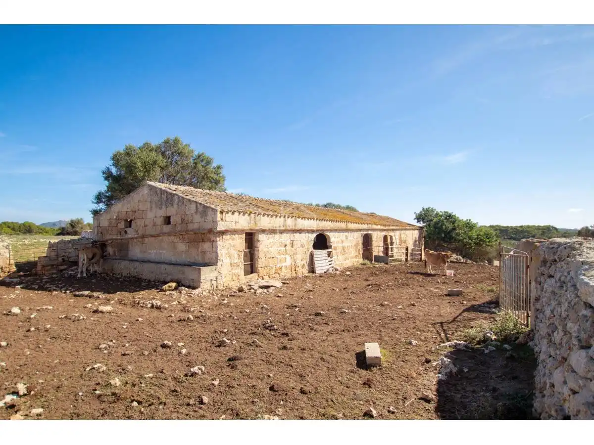 Country homes for sale in Son Bou - Sant Jaume