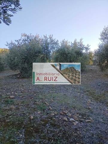 Terreno en Venta en Luque