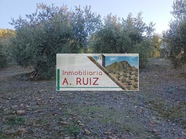 Terreno rustico in vendita a Luque