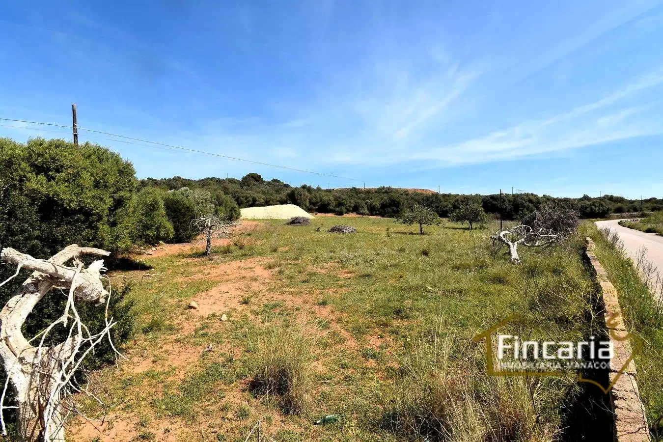 Rural land for sale in De La Torre Nova, imagen 26