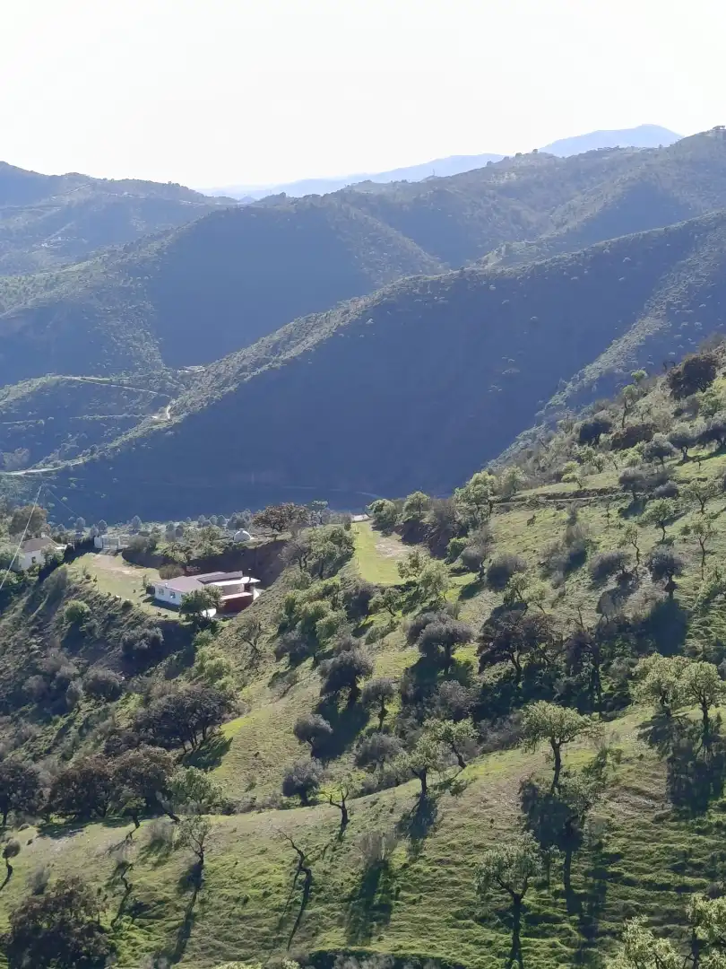 Country house for sale in Almogía, imagen 33