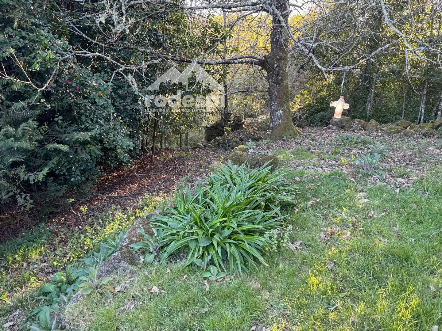 Maison à vendre à A Cañiza, imagen 3