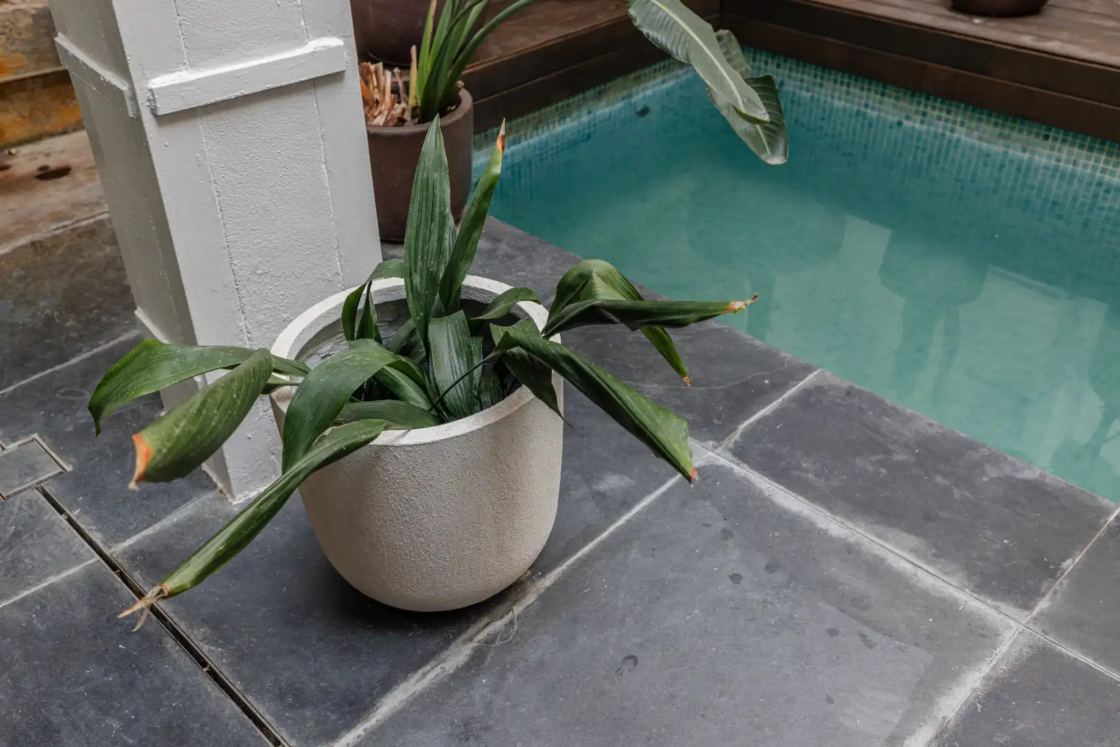 Schwimmbecken von Maisonette zum Verkauf in Barcelona mit Klimaanlage, Heizung und Privatgarten