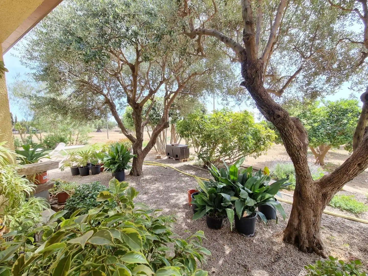 Jardí de Finca rústica en venda en Roda de Berà amb Aire condicionat, Calefacció i Jardí privat