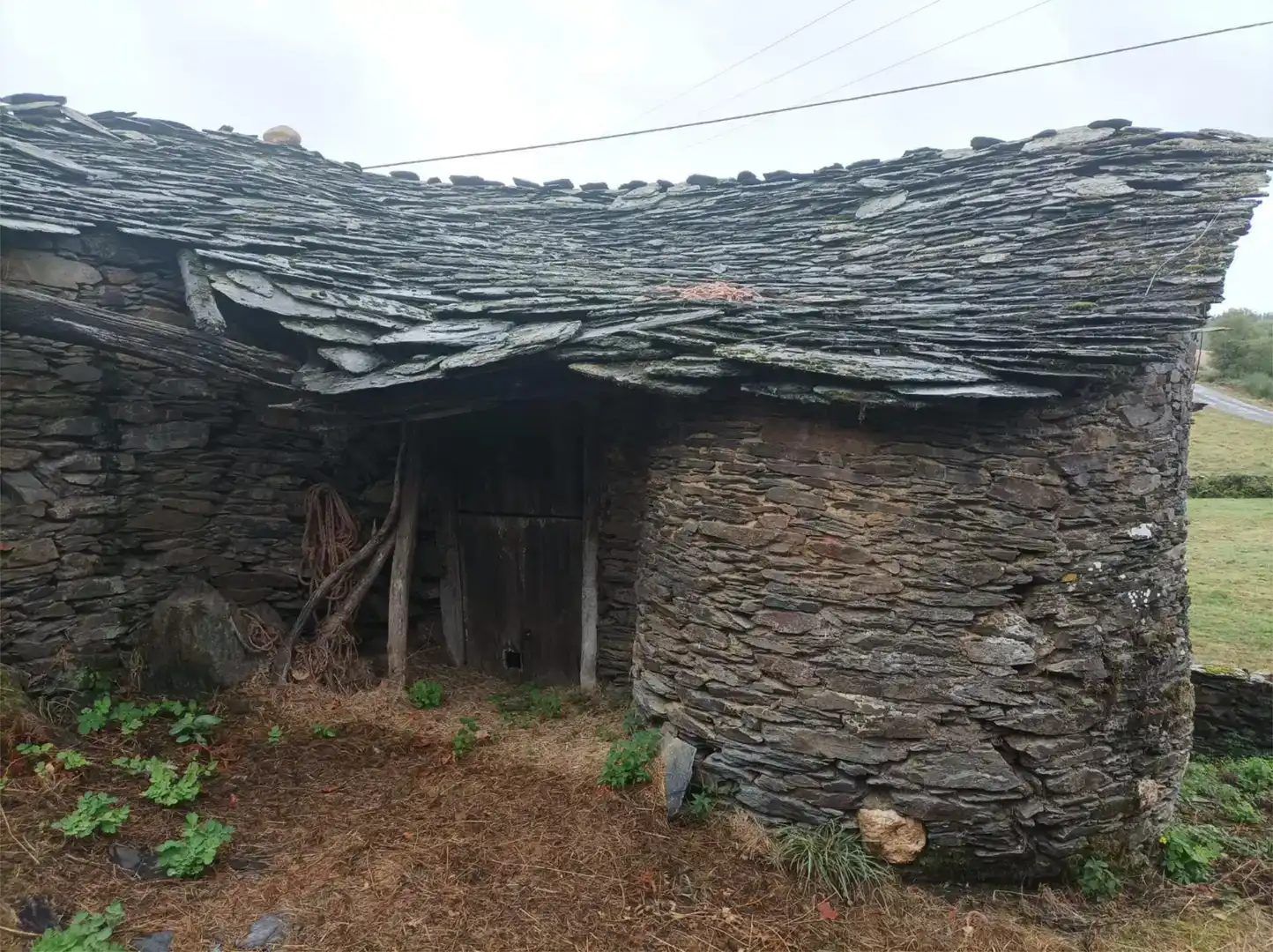 Vista exterior de Planta baixa en venda en Grandas de Salime amb Jardí privat