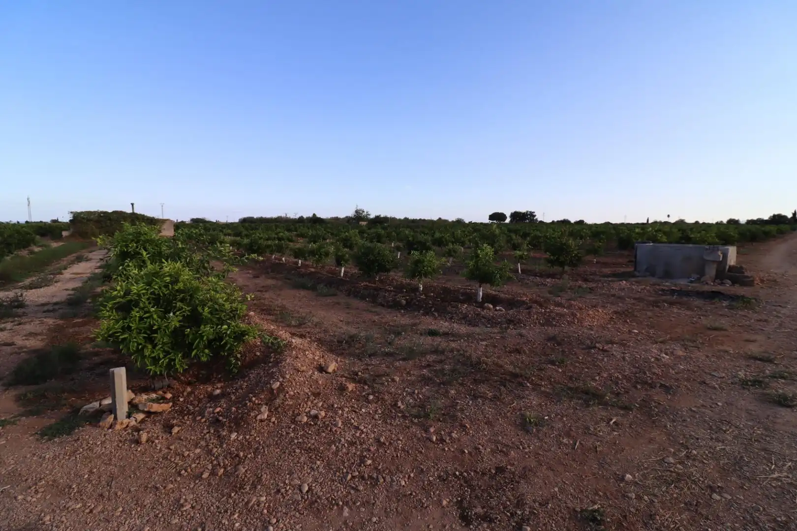 Terreny en venda en Vinaròs