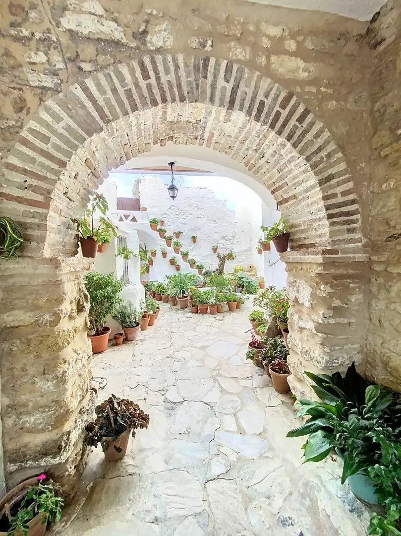 Jardí de Casa o xalet en venda en Medina Sidonia amb Terrassa, Moblat i Balcó