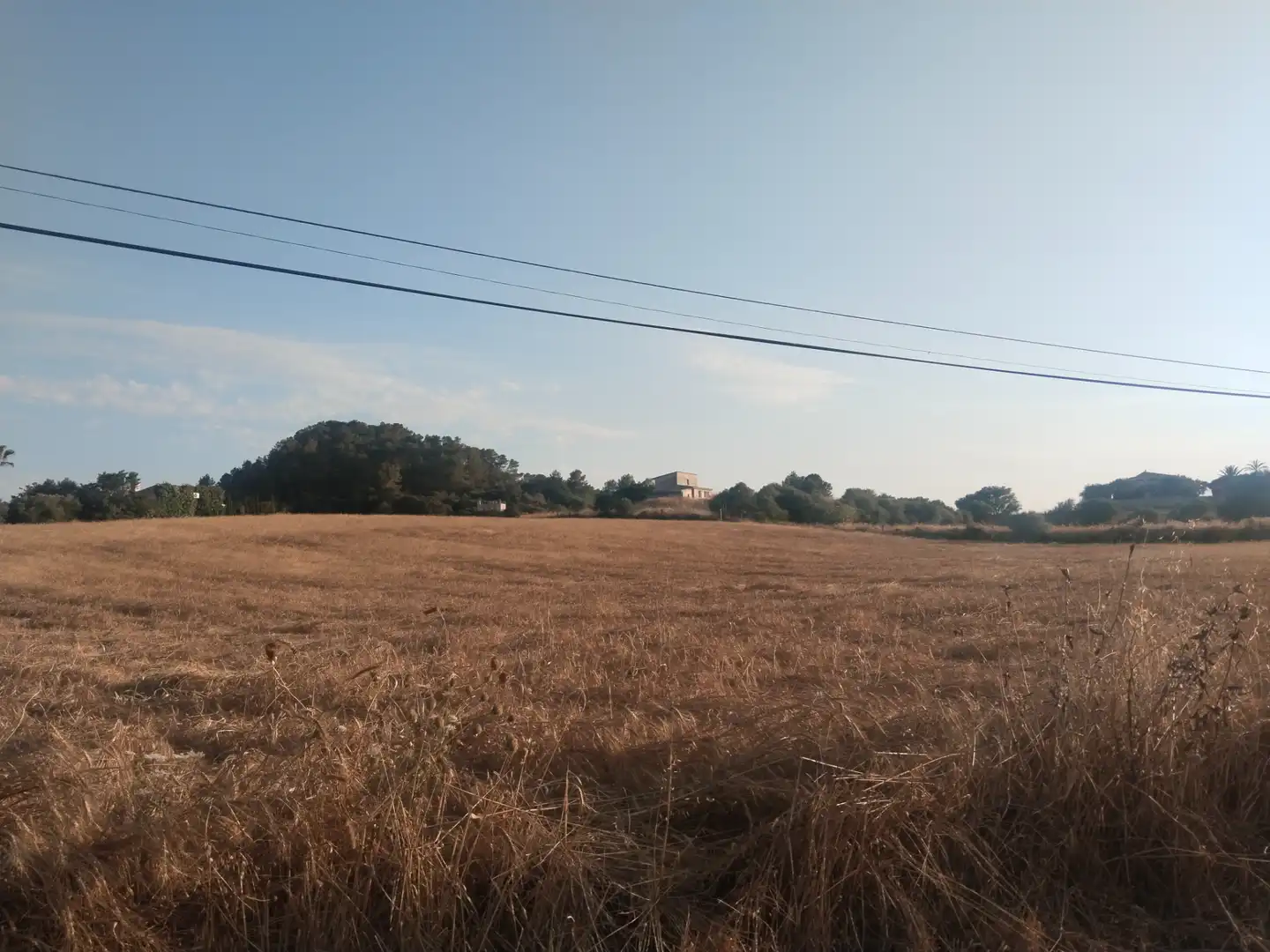 Terreno rustico in vendita a Sineu, imagen 11