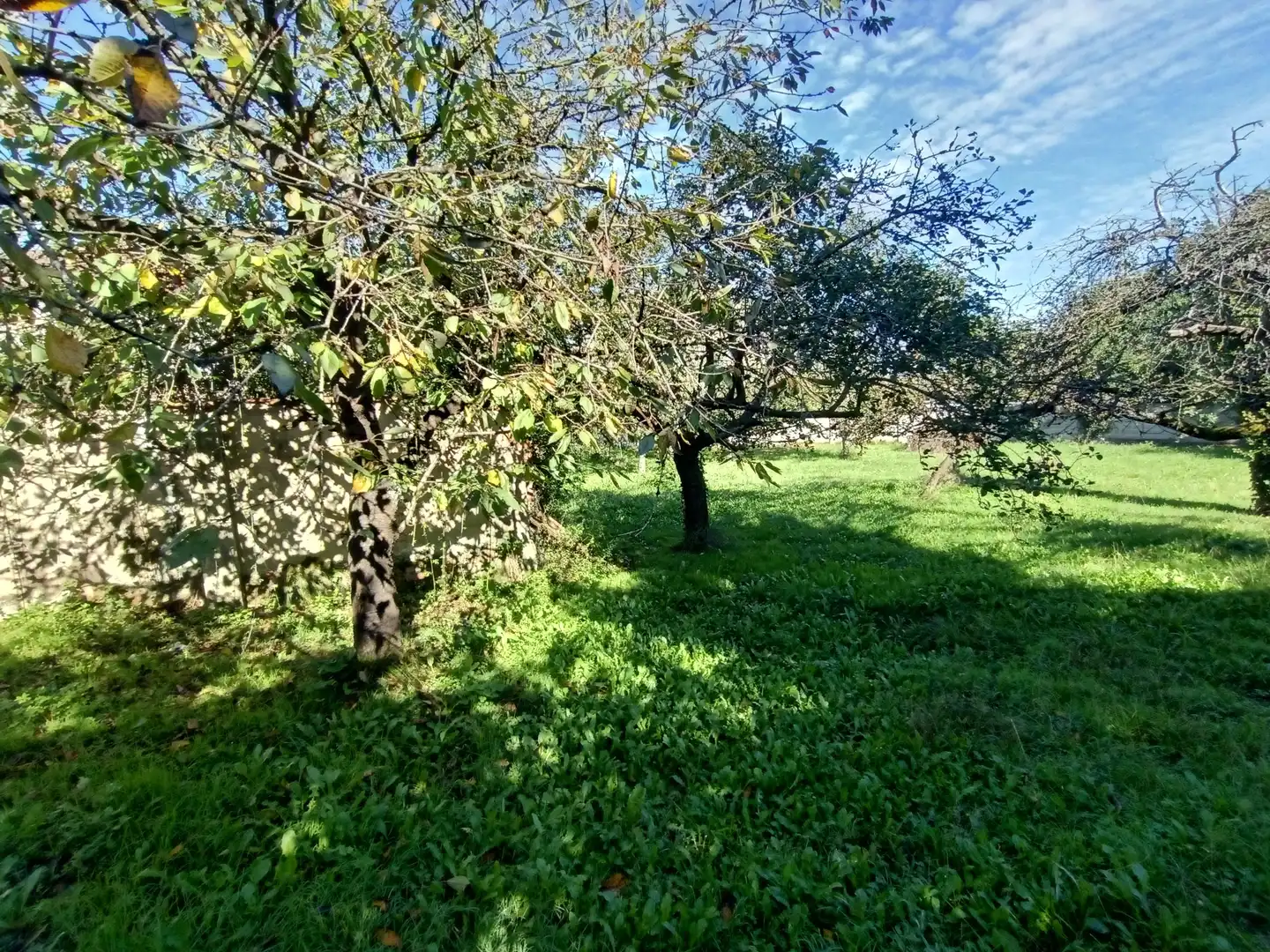 Residential land for sale in Calle Conde de Santa Barbara 31, imagen 18