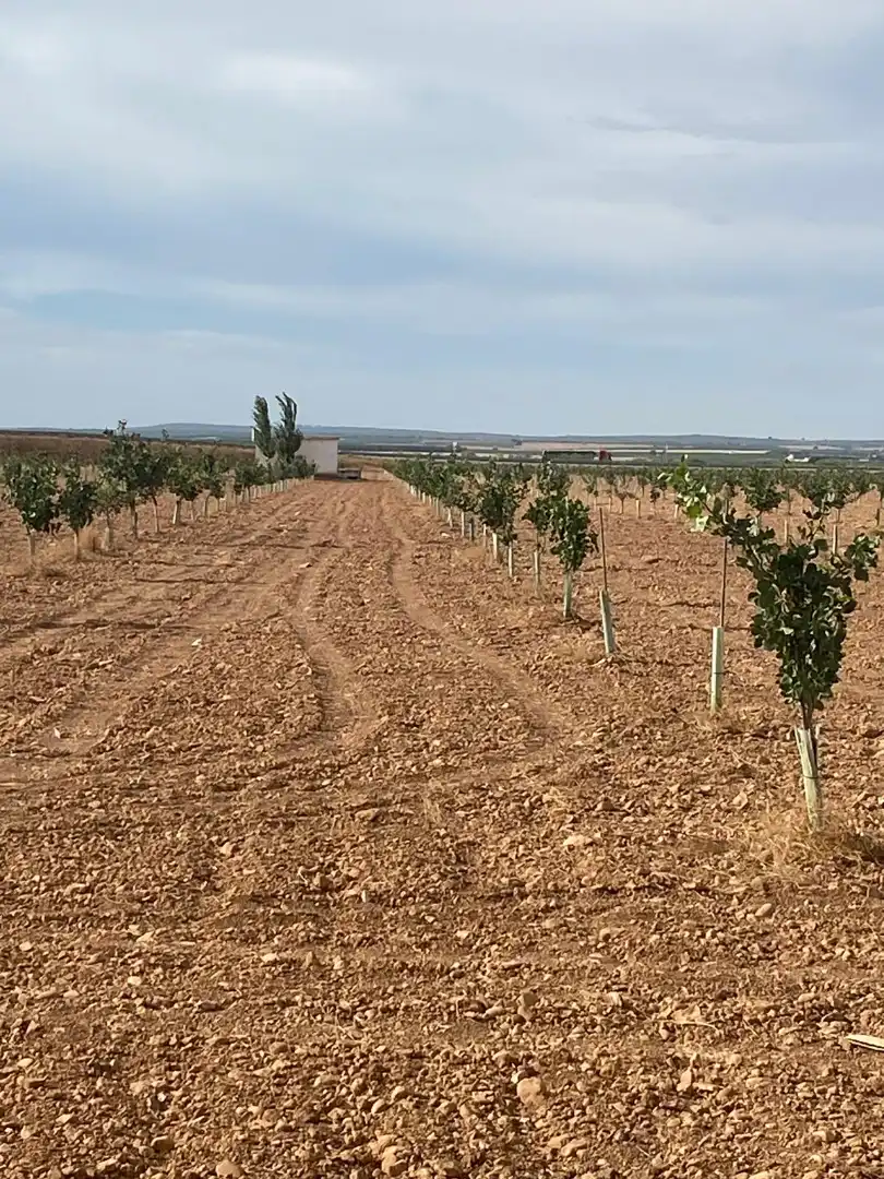 Terreno rustico in vendita a Calle García Pavón, imagen 8