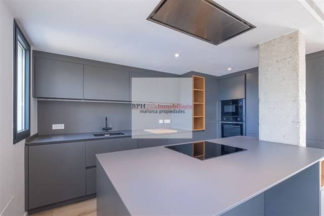 Ático en Venta en ILLA DE SAMOS en El Coll d'en Rabassa