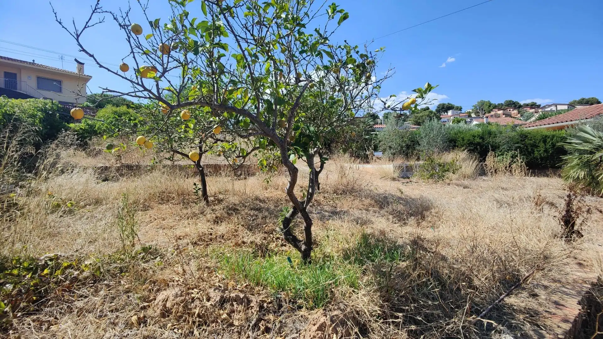 Wohnbaugrundstück zum Verkauf in Avenida Avinguda Cunit, imagen 7