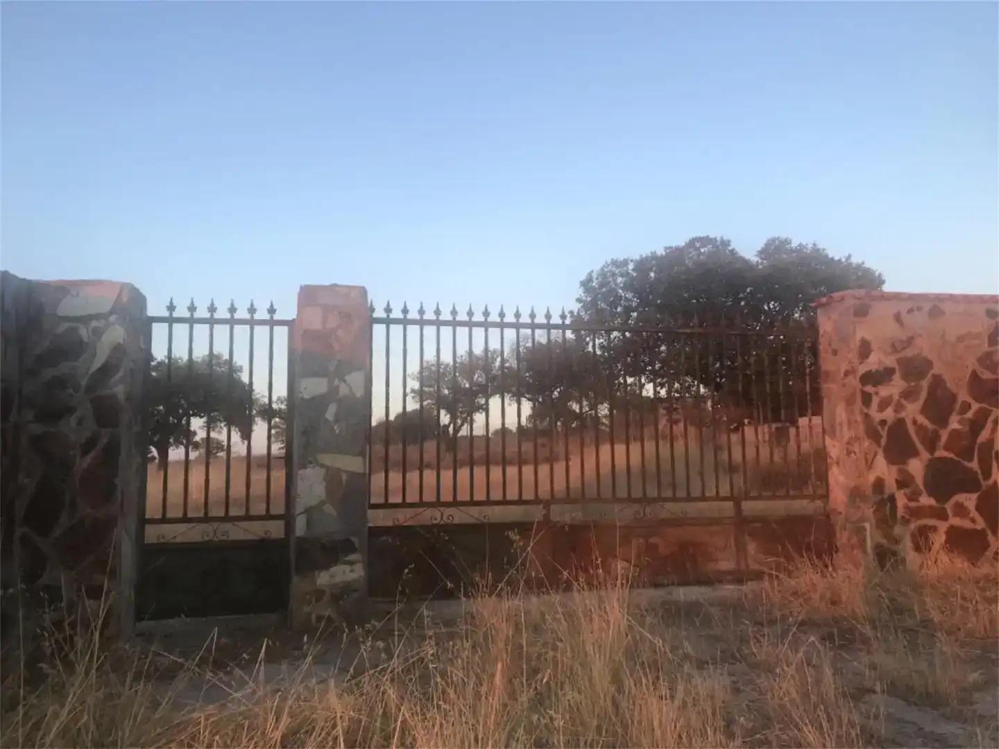 Land for sale in Valverde de Mérida