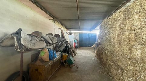 Foto 5 de Finca rústica en venda a Niebla, Huelva