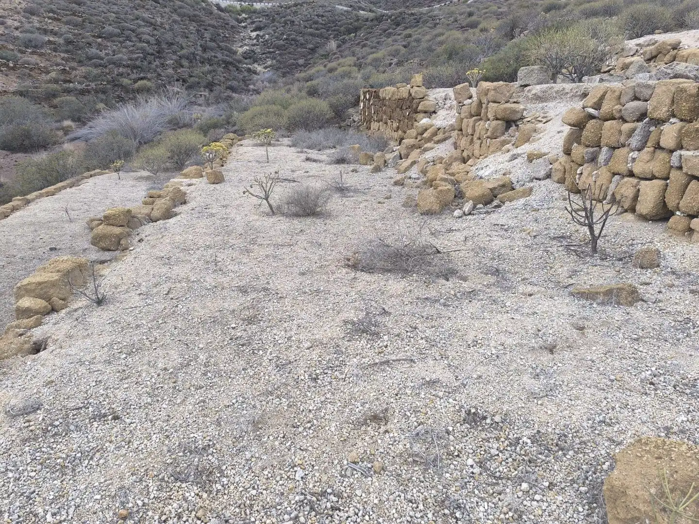 Land for sale in Fasnia
