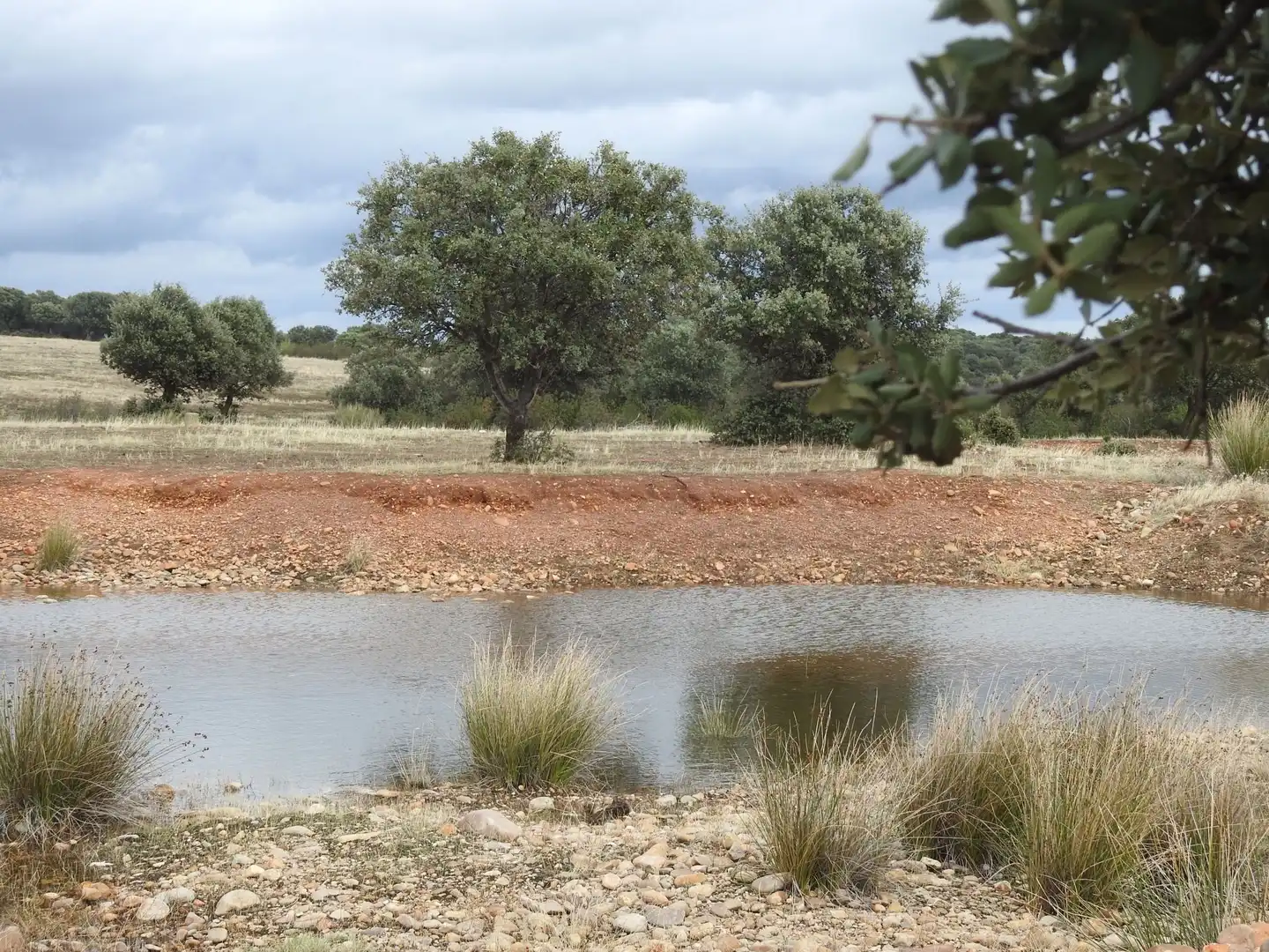 Terreni e lotti in vendita a Peraleda de la Mata, imagen 18