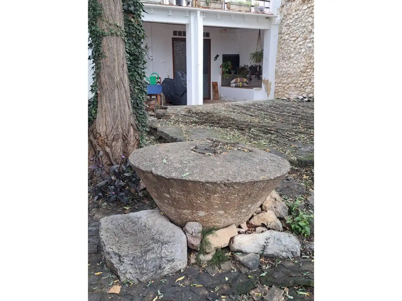 Jardín de Casa o chalet en venta en Pinet con Jardín privado