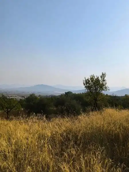 Reihenhaus zum Verkauf in El Pinós / Pinoso, imagen 24