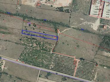 Terreno rustico in vendita a Este