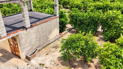 Foto 4 de Finca rústica en venda a Plaça de Marxuquera, 72, Urbanizaciones, Gandia