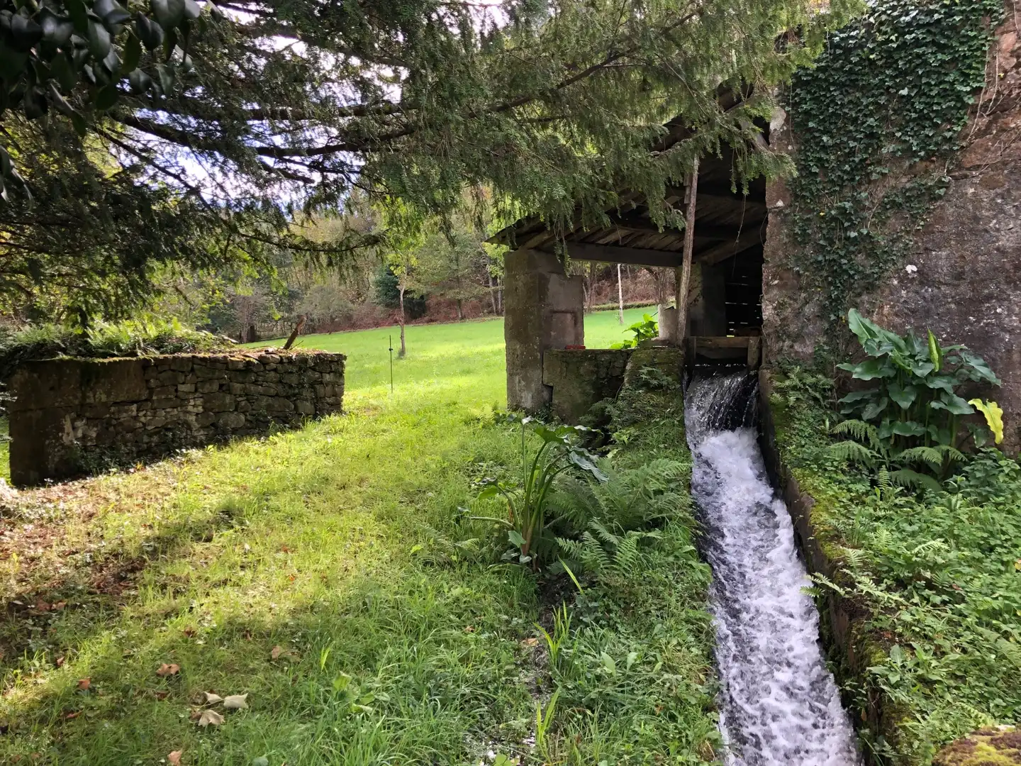Casa amb jardí en venda a Camiño do Camino Muino 10, imagen 38