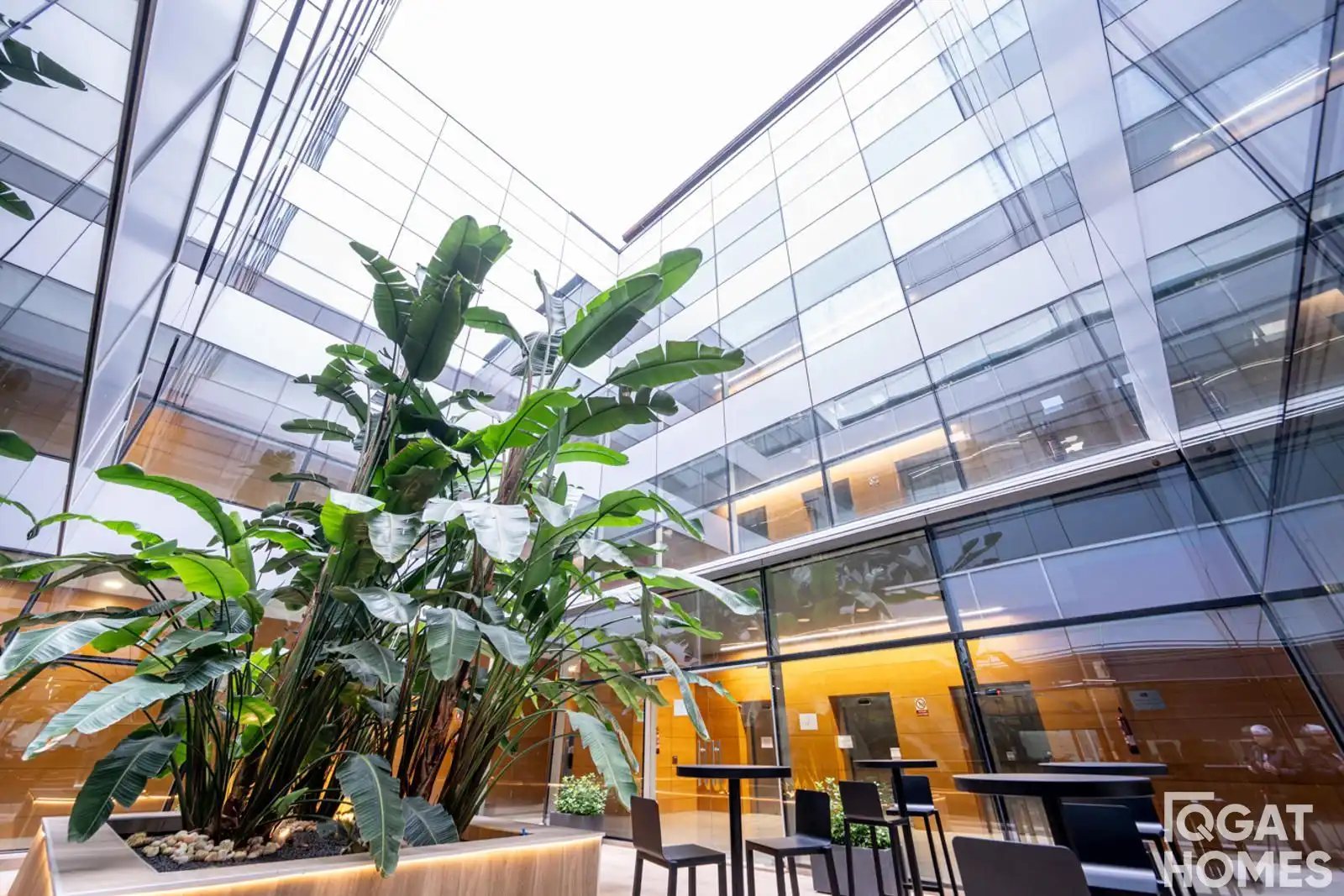 Office space with lift for sale in Corts Catalanes