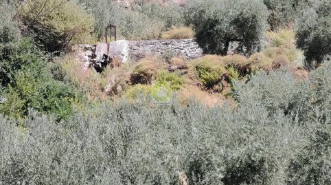 DílarTerreno, immagine 3