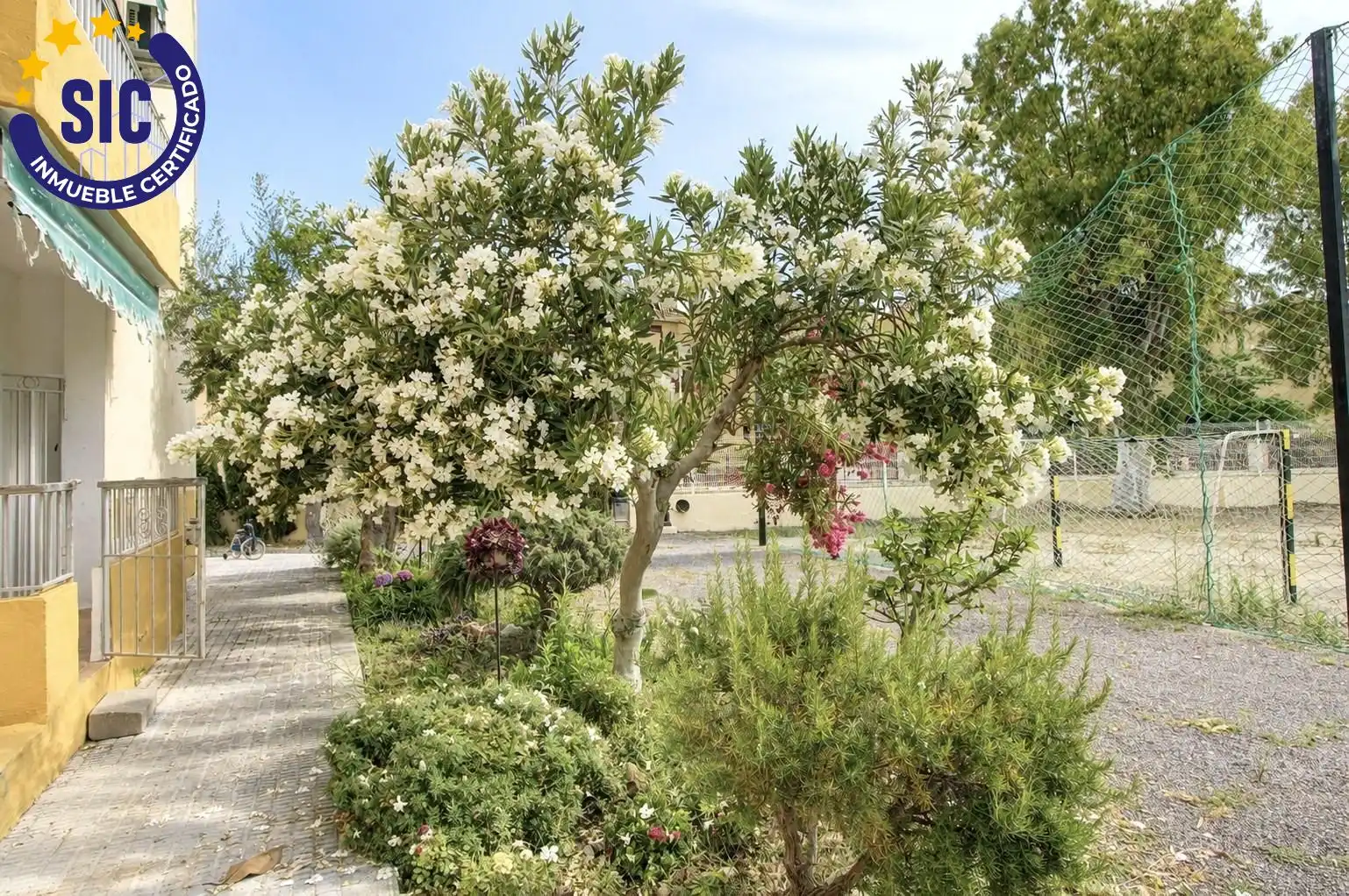 Planta baja en venta en Serratella, 5, Almenara