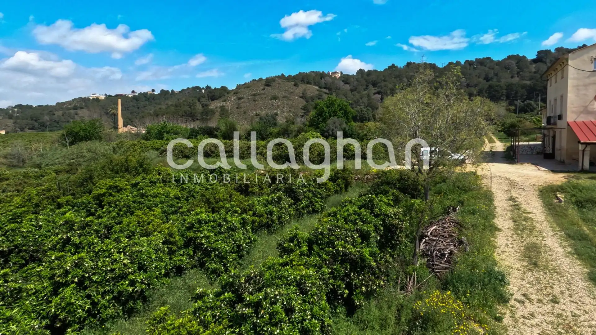 Casa o chalet en venta en Alzira con Calefacción, Jardín privado y Terraza