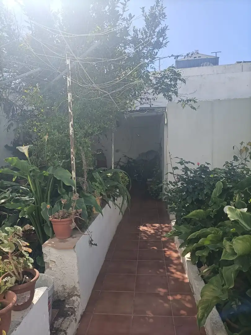 Jardí de Casa o xalet en venda en San Fernando amb Jardí privat