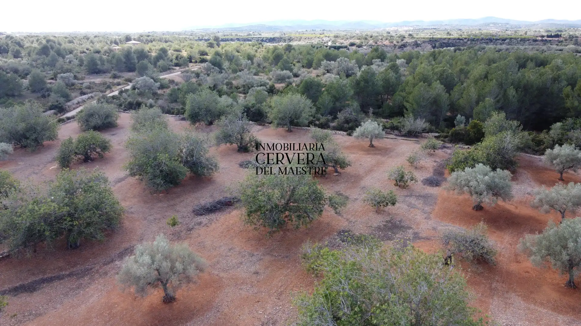 Terreno rustico in vendita a Partidas de interior - Zona Rústica, imagen 44