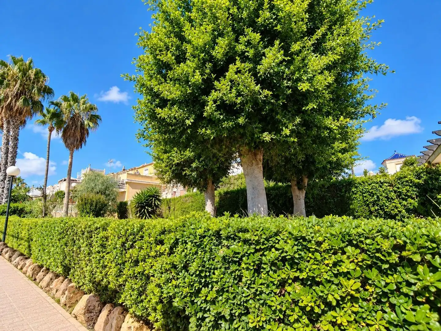 Maison à vendre à Los Balcones - Los Altos, imagen 29