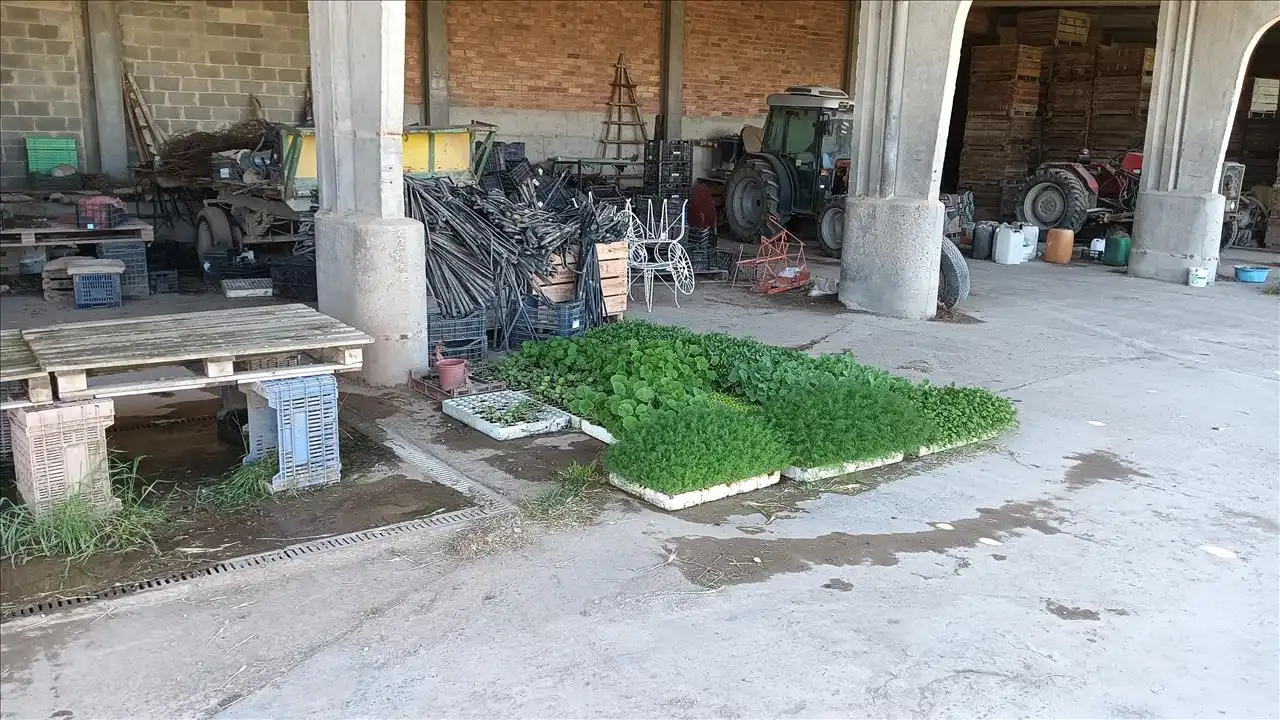 Nave industrial en venta en Proc. Simplificado, La Fuliola