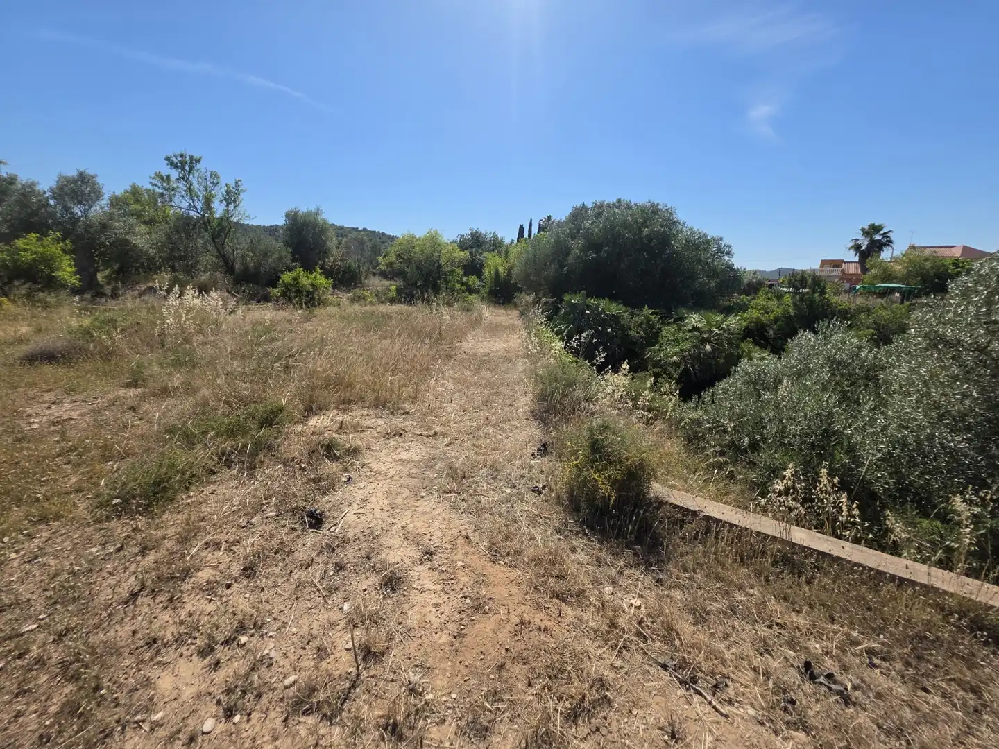 Rural land for sale in Vilamarxant, imagen 16